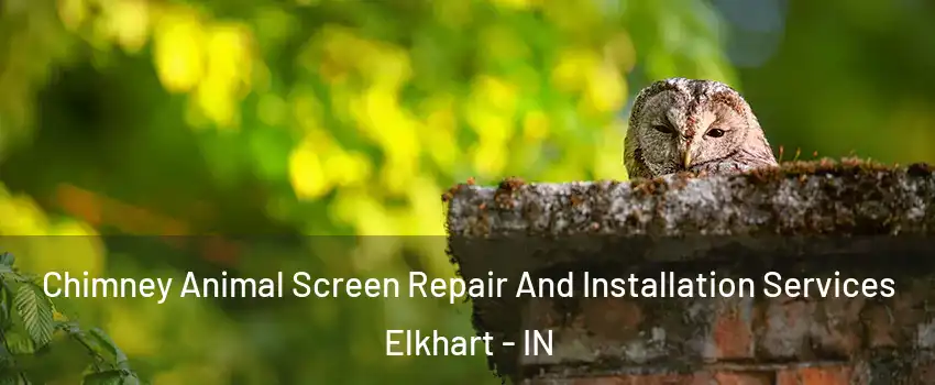  Chimney Animal Screen Repair And Installation Services Elkhart - IN