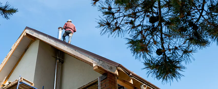 Birds Removal Contractors from Chimney in Elkhart, IN