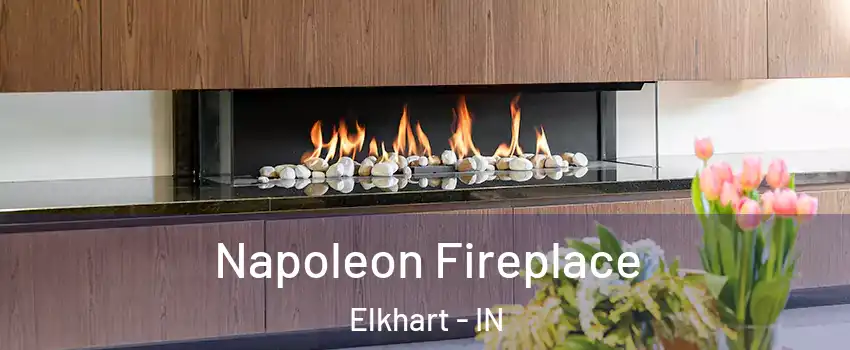  Napoleon Fireplace Elkhart - IN